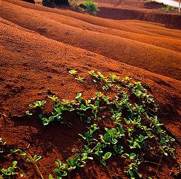 心理恐怖RPG《OMORI》主机版预告公开 6月17日发售
